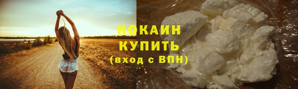 спиды Медногорск