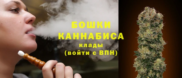 спиды Медногорск