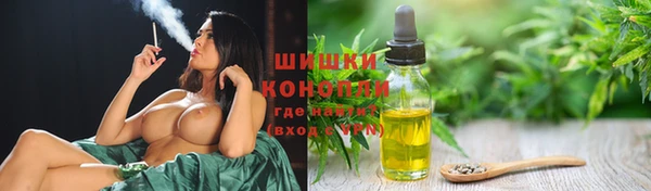 спиды Медногорск